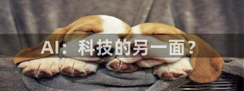 AI：科技的另一面？