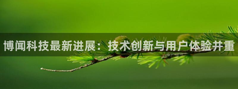 博闻科技最新进展：技术创新与用户体验并重
