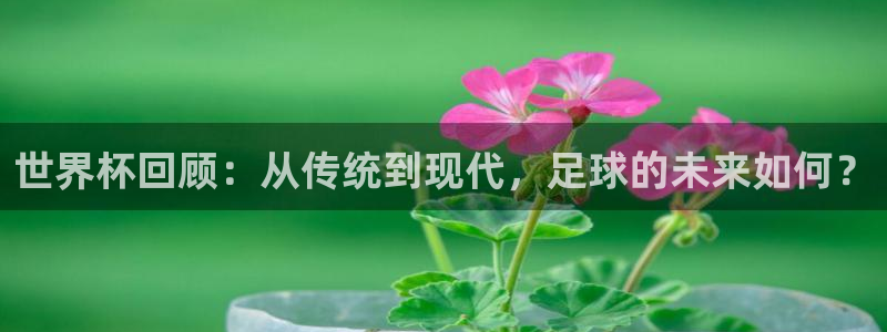 世界杯回顾：从传统到现代，足球的未来如何？