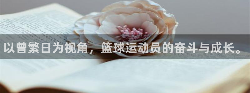 以曾繁日为视角，篮球运动员的奋斗与成长。
