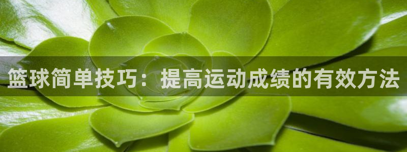 篮球简单技巧：提高运动成绩的有效方法