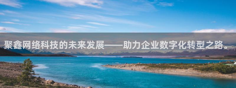 聚鑫网络科技的未来发展——助力企业数字化转型之路。