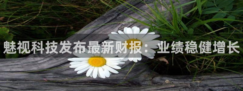 魅视科技发布最新财报：业绩稳健增长