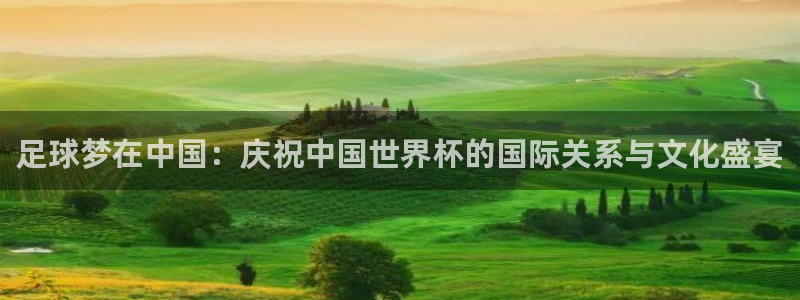 足球梦在中国：庆祝中国世界杯的国际关系与文化盛宴