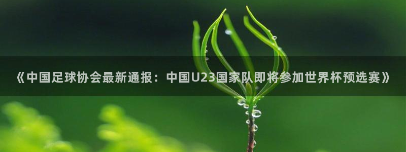 《中国足球协会最新通报：中国U23国家队即将参加世界杯预选赛》