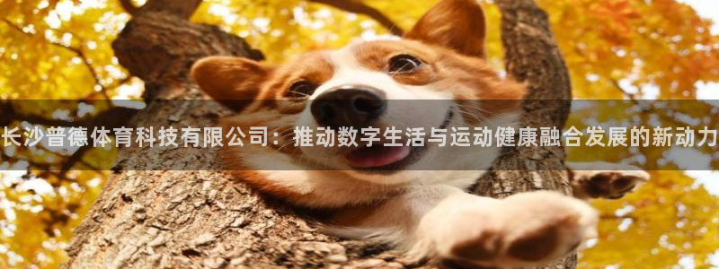 长沙普德体育科技有限公司：推动数字生活与运动健康融合发展的新动力