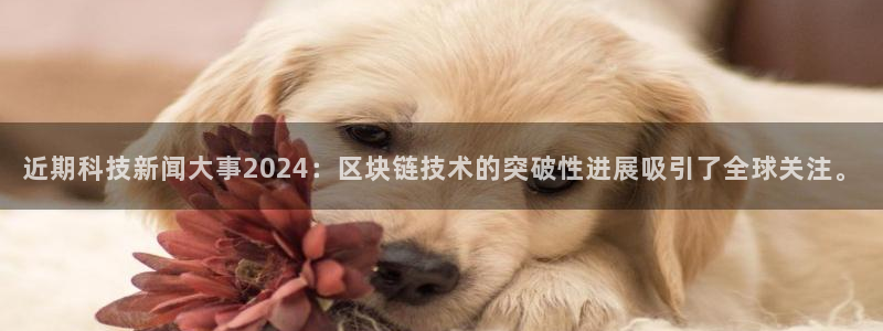 近期科技新闻大事2024：区块链技术的突破性进展吸引了全球关注。