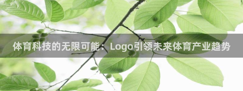 体育科技的无限可能：Logo引领未来体育产业趋势