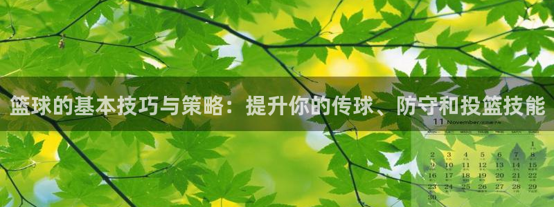 篮球的基本技巧与策略：提升你的传球、防守和投篮技能
