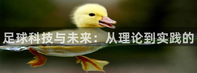足球科技与未来：从理论到实践的